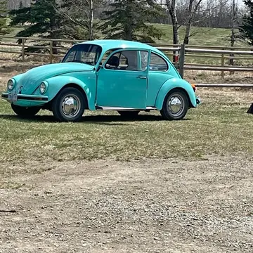 1998 Volkswagen Beetle
