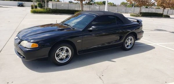 1998 Ford SN95 Mustang - Image 3 of 16