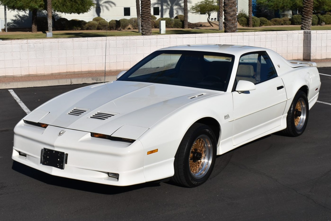 1988 Pontiac Firebird Trans Am GTA