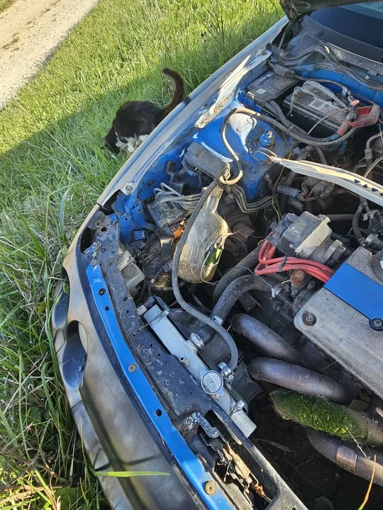 1999 Acura Integra 3rd Gen - Image 17 of 18