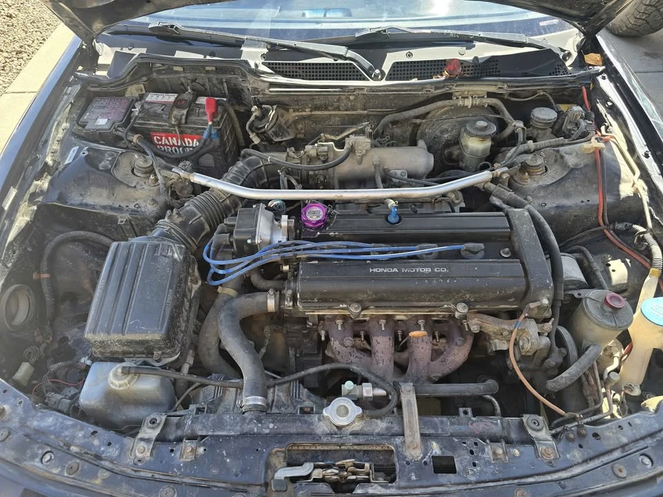 1999 Acura Integra 3rd Gen - Image 8 of 9