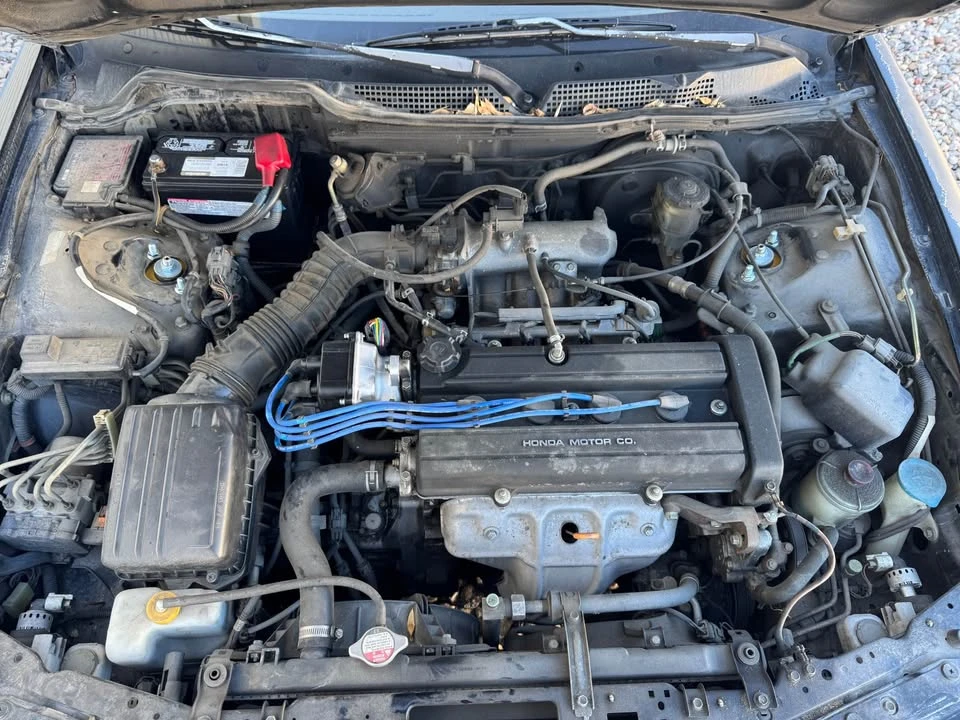 1999 Acura Integra 3rd Gen - Image 6 of 8