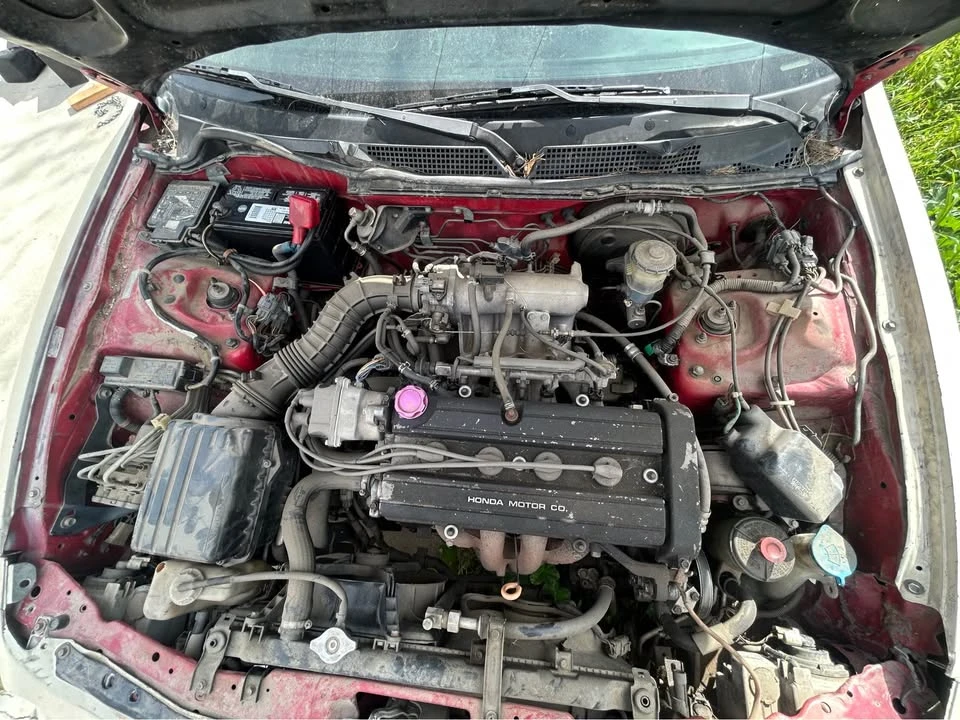 1999 Acura Integra 3rd Gen - Image 14 of 14