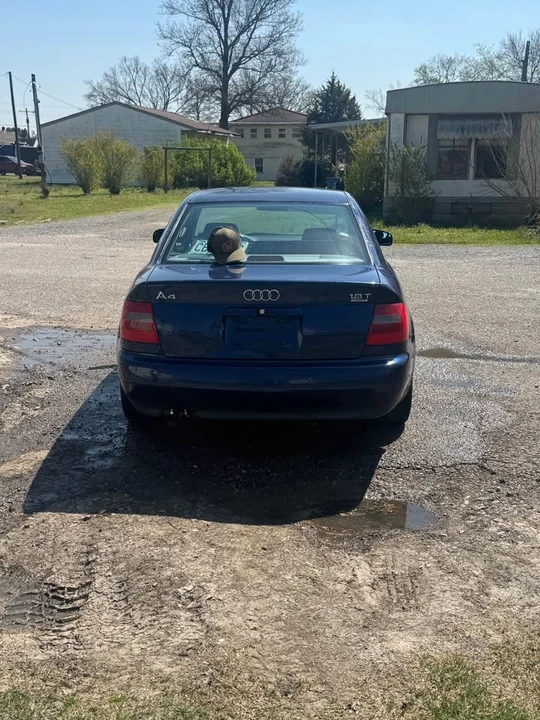 1999 Audi B5 A4 - Image 6 of 7
