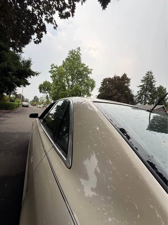1999 Audi D2 A8 - Image 5 of 9