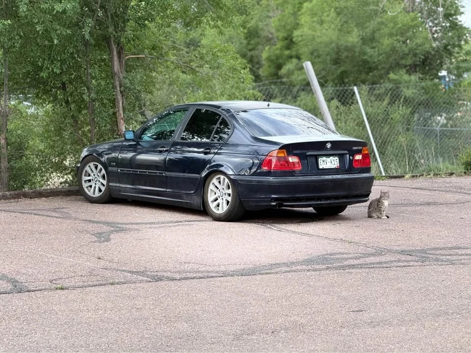1999 BMW E46 3 Series - Image 2 of 13