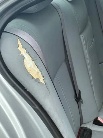 1999 BMW E39 5 Series - Image 12 of 13