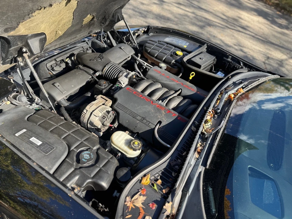 1999 Chevrolet Corvette C5 - Image 12 of 14