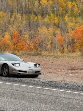 1999 Chevrolet Corvette C5 - Image 3 of 6