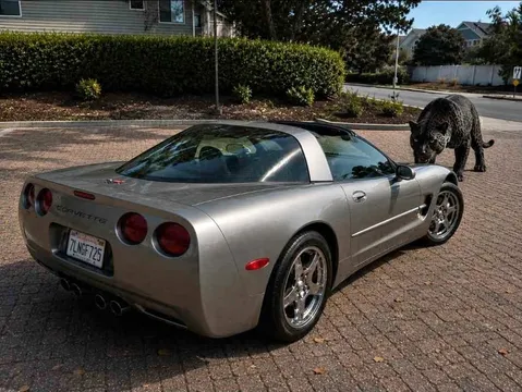 1999 Chevrolet Corvette Hard Top Coupe