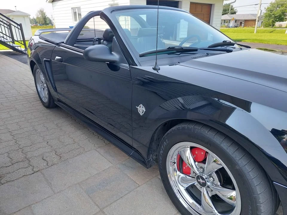 1999 Ford SN95 Mustang - Image 3 of 7