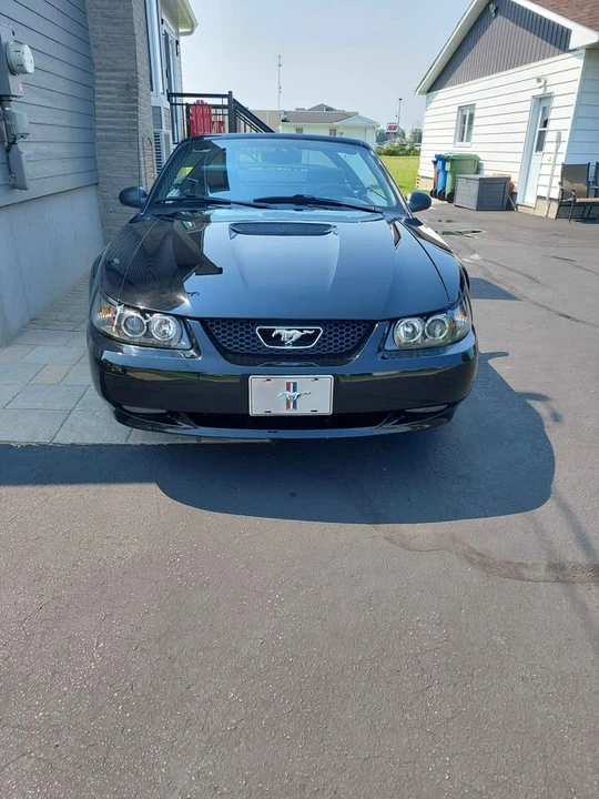 1999 Ford SN95 Mustang - Image 5 of 7