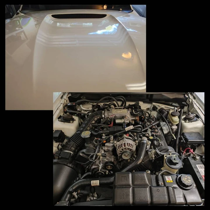 1999 Ford SN95 Mustang - Image 24 of 24