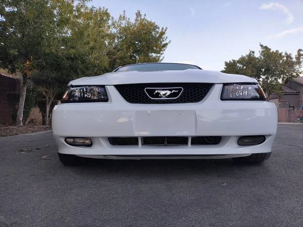 1999 Ford SN95 Mustang - Image 12 of 21