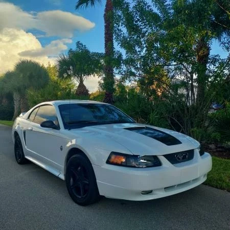 1999 Ford SN95 Mustang - Image 6 of 15