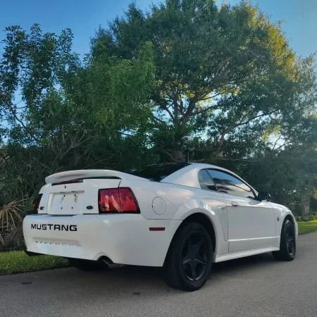 1999 Ford SN95 Mustang - Image 10 of 15