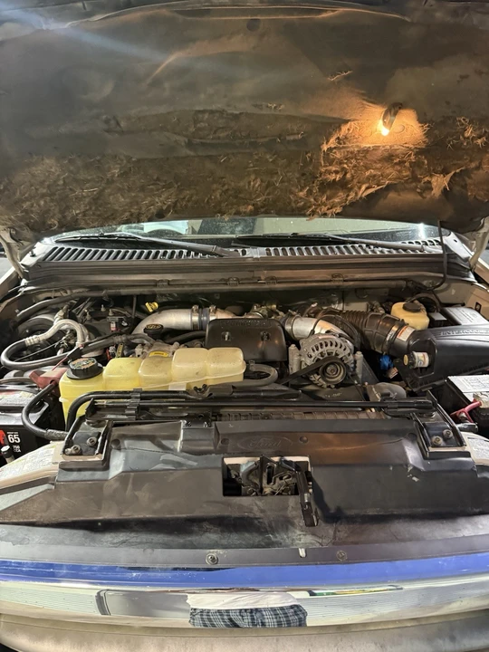 1999 Ford Super Duty 1st Gen - Image 14 of 14