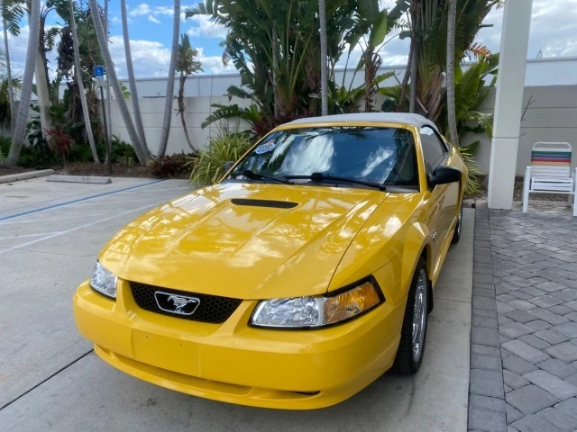 1999 Ford SN95 Mustang - Image 4 of 22