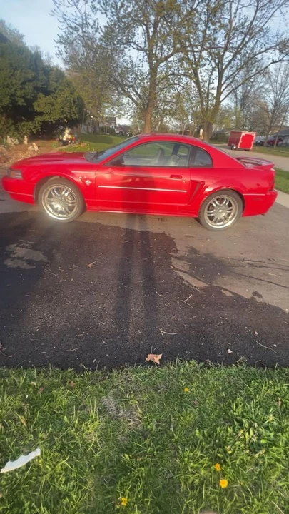 1999 Ford SN95 Mustang - Image 8 of 13