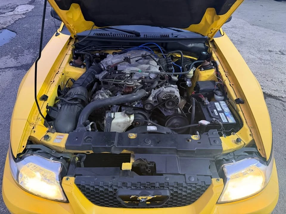 1999 Ford SN95 Mustang - Image 14 of 15