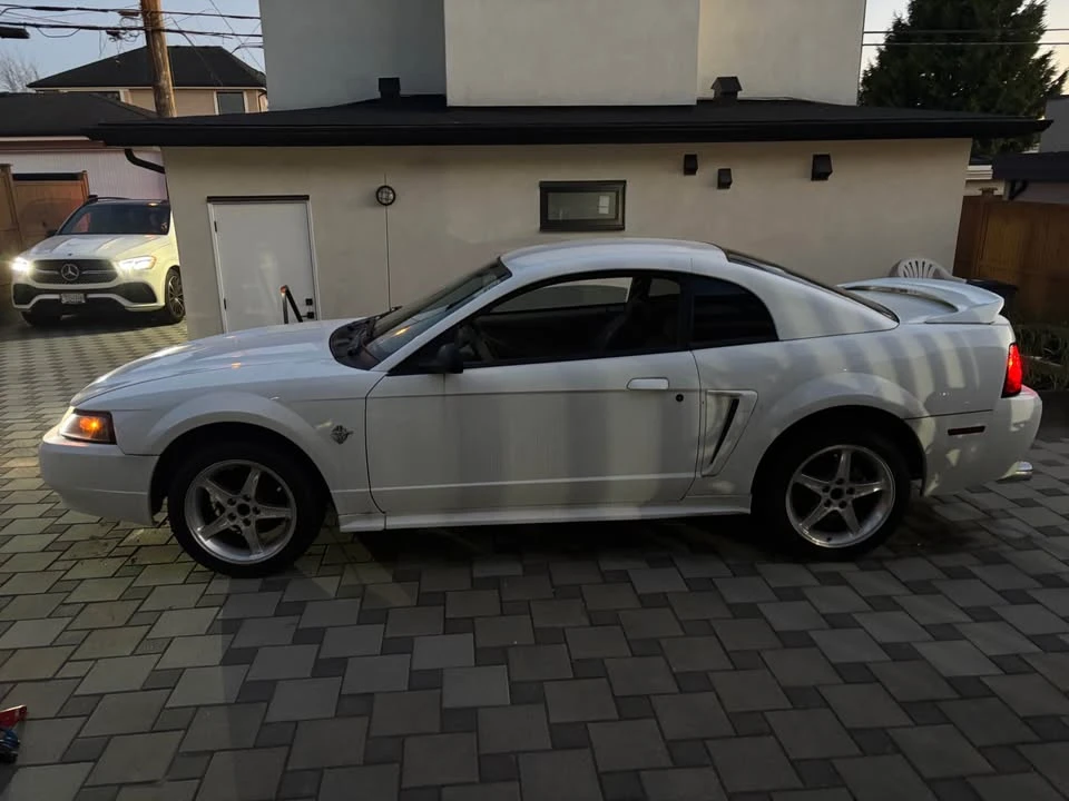 1999 Ford SN95 Mustang - Image 4 of 7