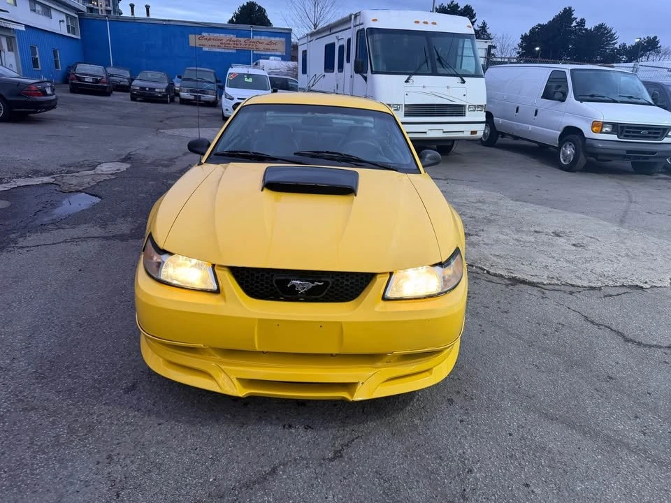 1999 Ford SN95 Mustang - Image 2 of 15