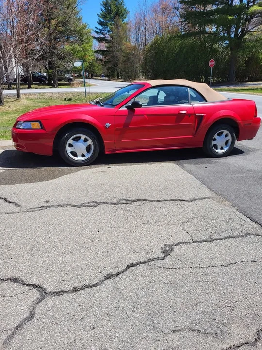 1999 Ford SN95 Mustang - Image 3 of 8