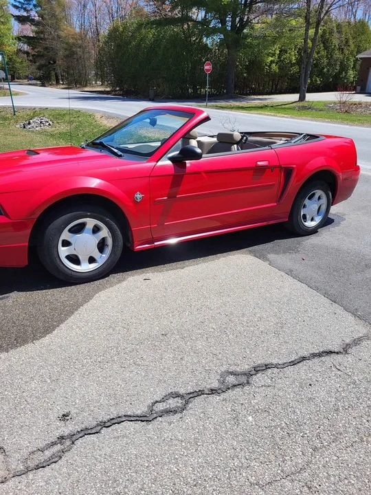 1999 Ford SN95 Mustang - Image 5 of 8
