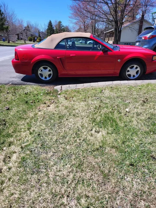 1999 Ford SN95 Mustang - Image 4 of 8