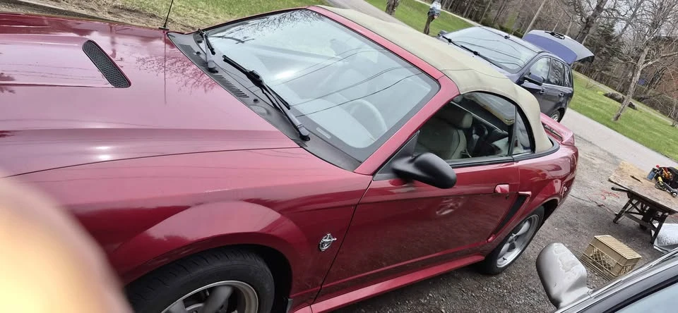 1999 Ford SN95 Mustang - Image 8 of 12