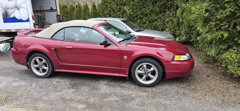 1999 Ford SN95 Mustang - Image 11 of 12