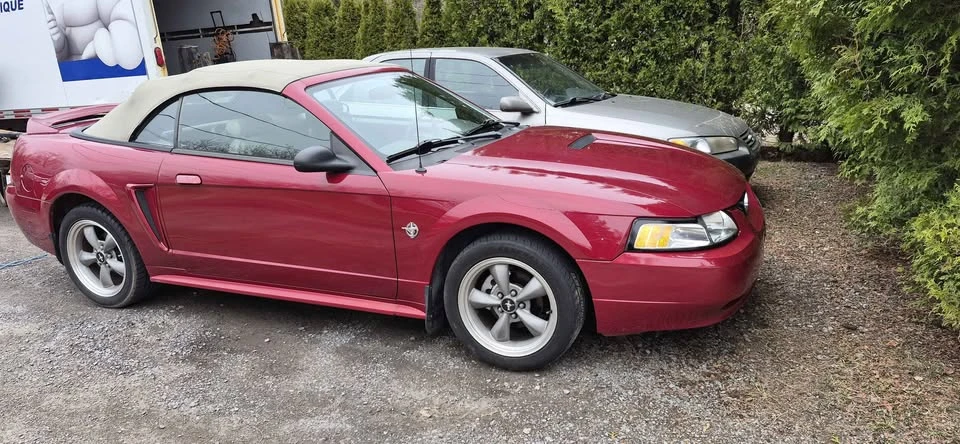 1999 Ford SN95 Mustang - Image 12 of 12