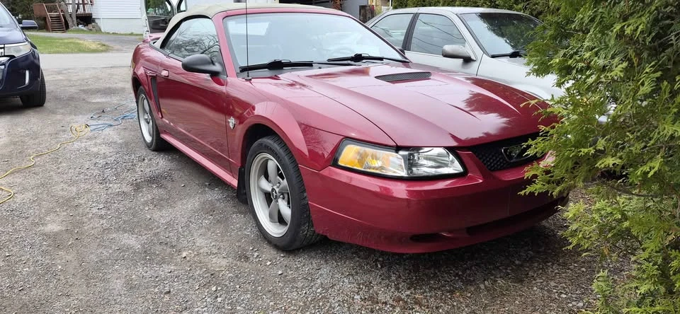 1999 Ford SN95 Mustang - Image 10 of 12