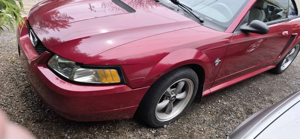 1999 Ford SN95 Mustang - Image 9 of 12