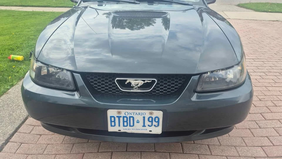 1999 Ford SN95 Mustang - Image 3 of 15