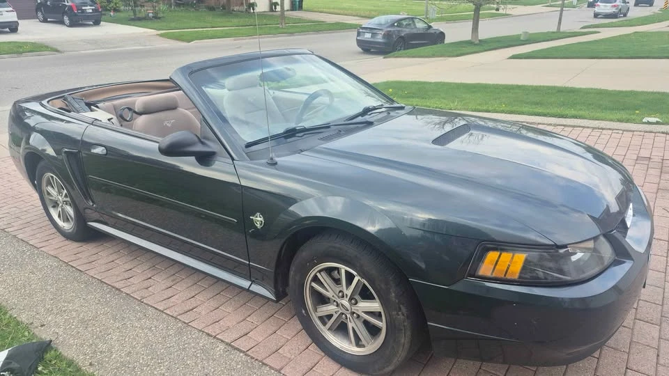 1999 Ford SN95 Mustang - Image 4 of 15
