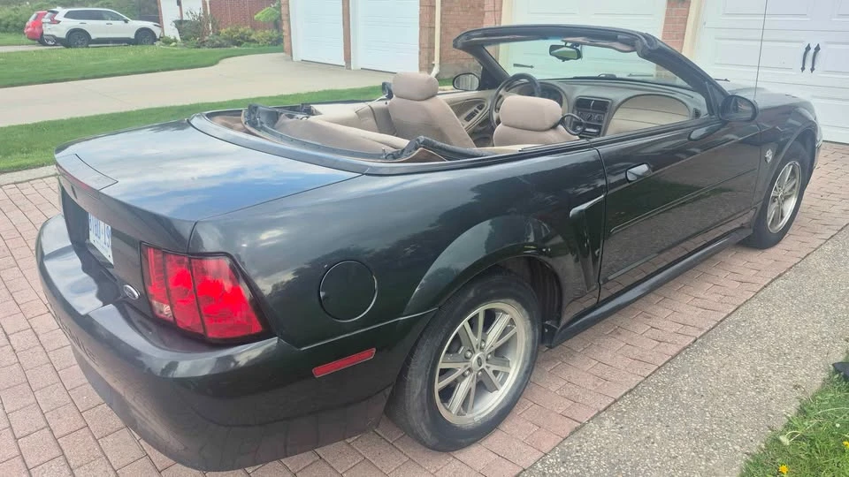 1999 Ford SN95 Mustang - Image 5 of 15