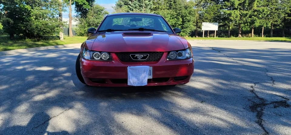 1999 Ford SN95 Mustang - Image 4 of 8