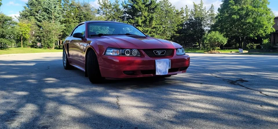 1999 Ford SN95 Mustang - Image 5 of 8