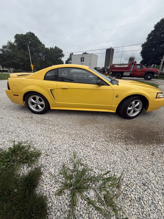 1999 Ford SN95 Mustang - Image 3 of 6