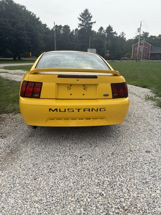 1999 Ford SN95 Mustang - Image 4 of 6