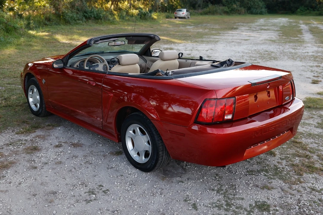 1999 Ford SN95 Mustang - Image 5 of 12