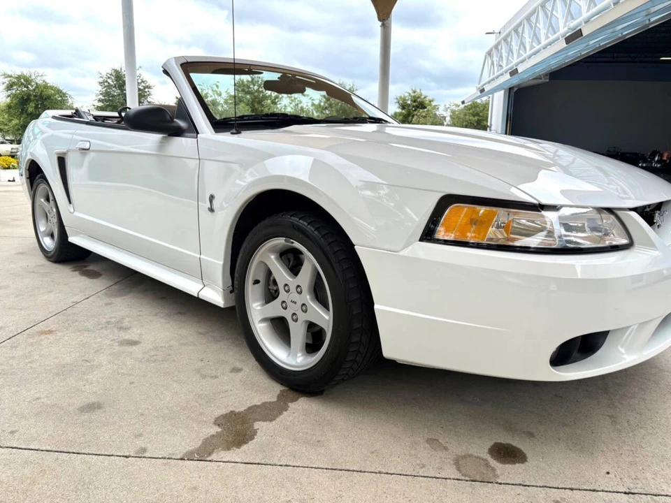 1999 Ford SN95 Mustang - Image 19 of 31