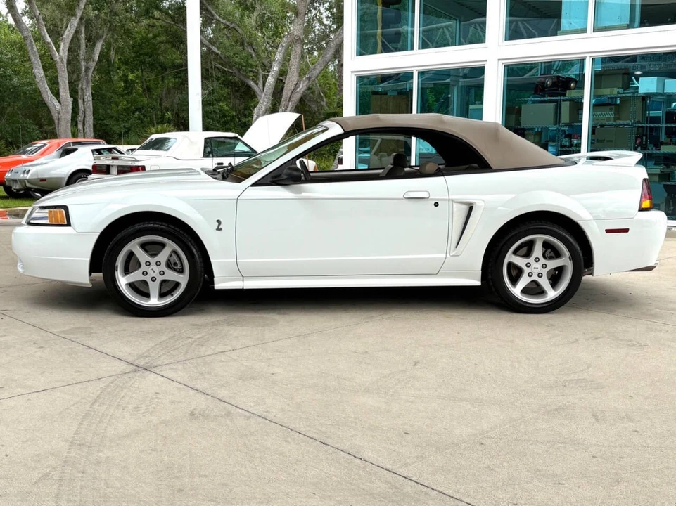 1999 Ford SN95 Mustang - Image 24 of 31