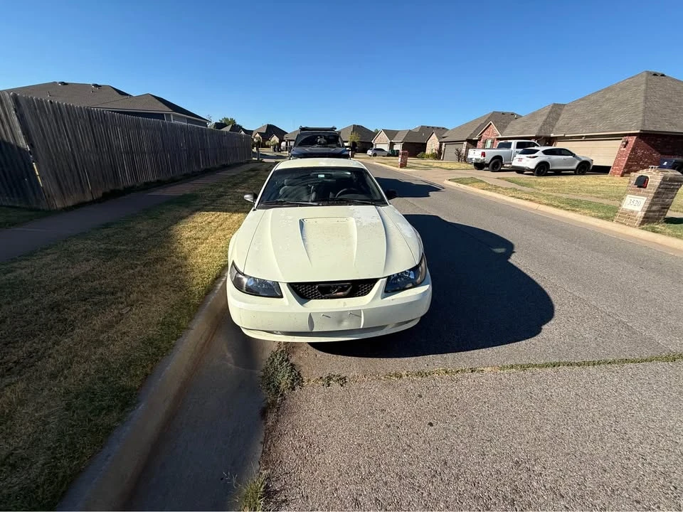 1999 Ford SN95 Mustang - Image 3 of 8