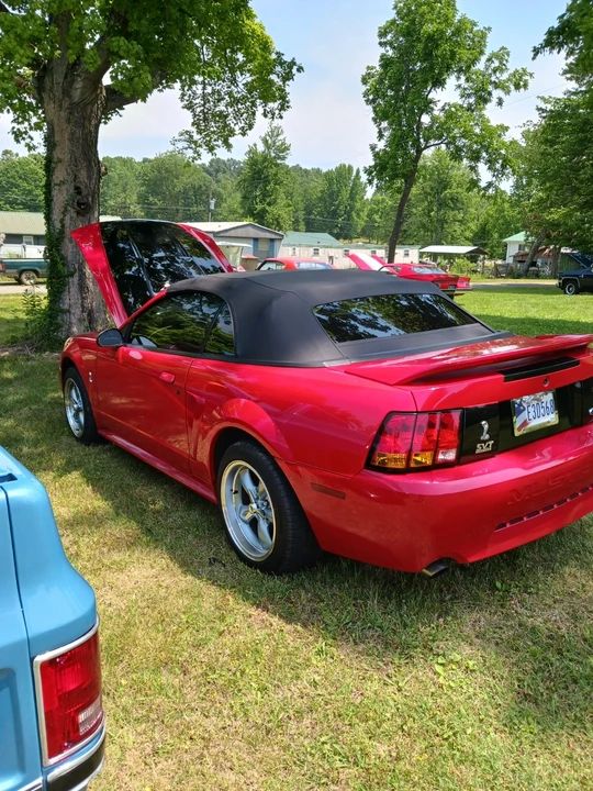 1999 Ford SN95 Mustang Cobra - Image 5 of 15