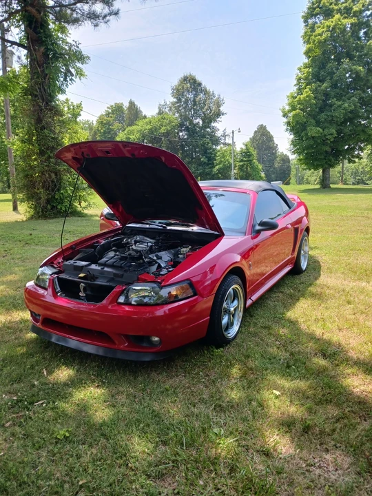 1999 Ford SN95 Mustang Cobra - Image 9 of 15