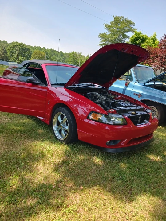 1999 Ford SN95 Mustang Cobra - Image 8 of 15