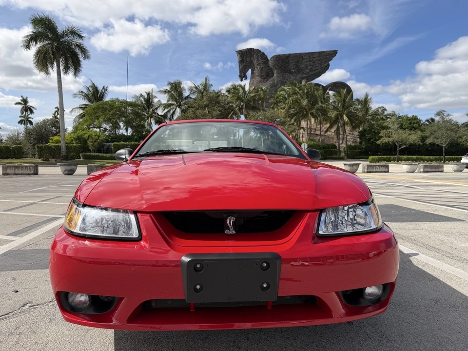 1999 Ford SN95 Mustang Cobra - Image 4 of 21