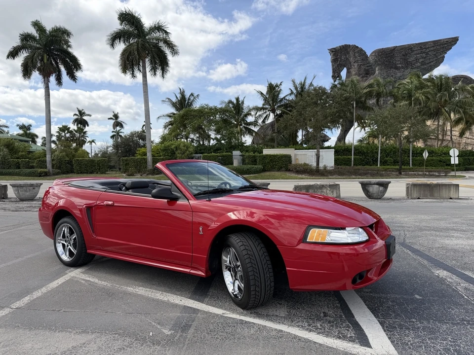 1999 Ford SN95 Mustang Cobra - Image 9 of 21
